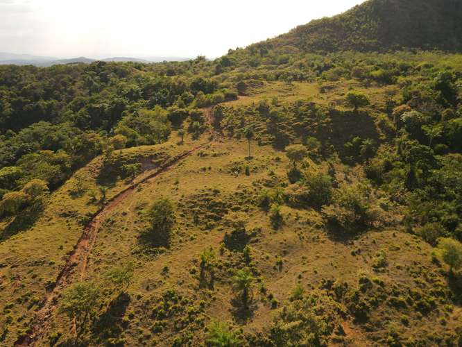 Se Vende hermosa Finca Agropecuaria en Palo Verde de Cañazas