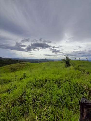 Se Vende hermosa Finca Agropecuaria en Palo Verde de Cañazas