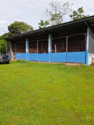 Se Vende hermosa Finca Agropecuaria en Palo Verde de Cañazas