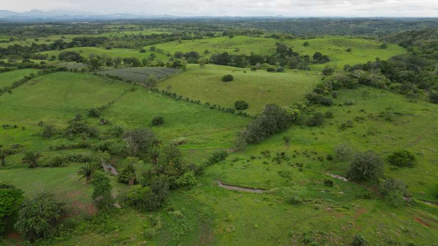51 HECTÁREAS DE TERRENO $3,571,715 - Imagen 10