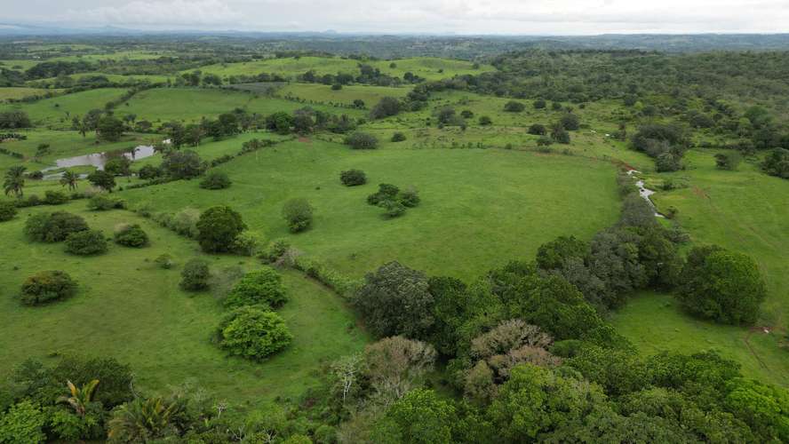 51 HECTÁREAS DE TERRENO $3,571,715 - Imagen 17