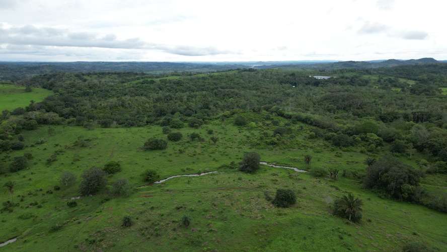 51 HECTÁREAS DE TERRENO $3,571,715 - Imagen 8