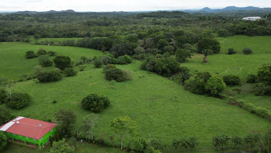 51 HECTÁREAS DE TERRENO $3,571,715 - Imagen 7