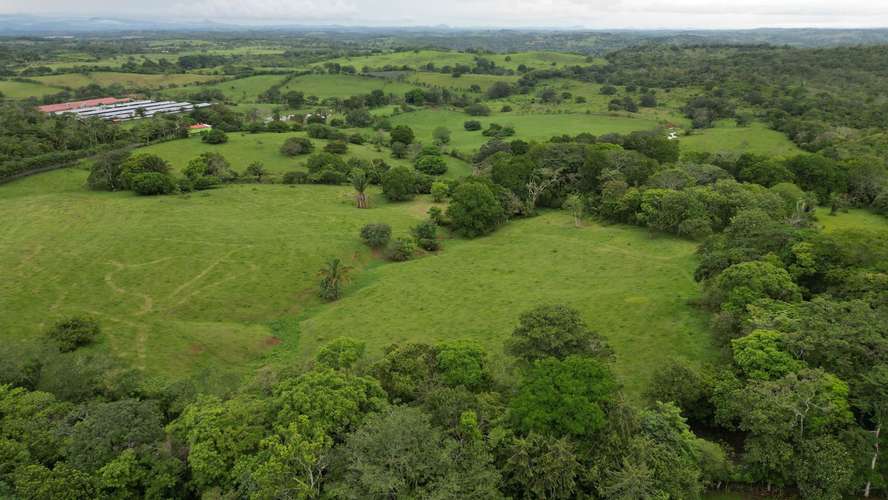 51 HECTÁREAS DE TERRENO $3,571,715 - Imagen 5