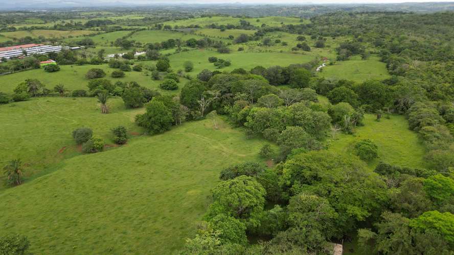 51 HECTÁREAS DE TERRENO $3,571,715 - Imagen 13