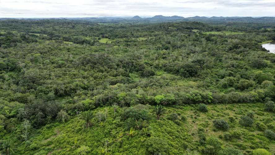 51 HECTÁREAS DE TERRENO $3,571,715 - Imagen 9