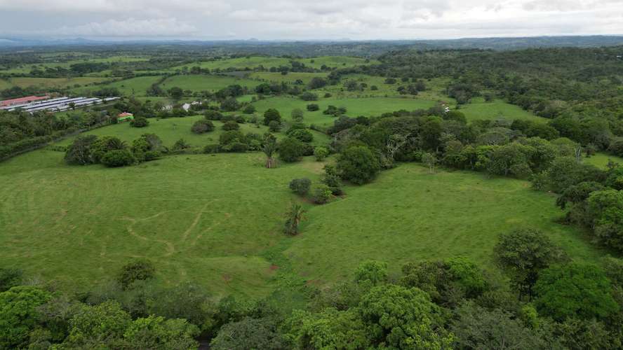 51 HECTÁREAS DE TERRENO $3,571,715 - Imagen 15