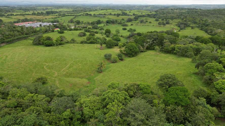 51 HECTÁREAS DE TERRENO $3,571,715 - Imagen 16