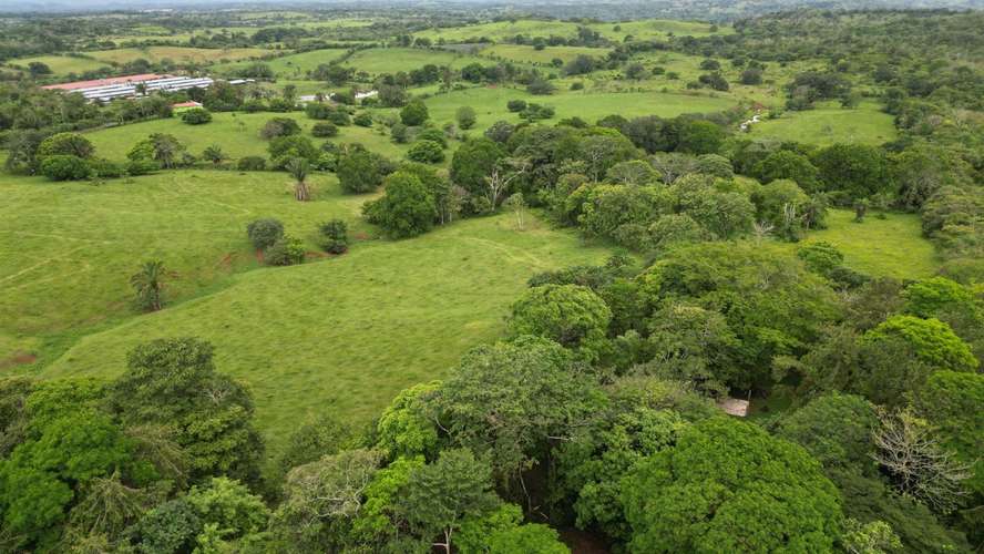 51 HECTÁREAS DE TERRENO $3,571,715 - Imagen 2