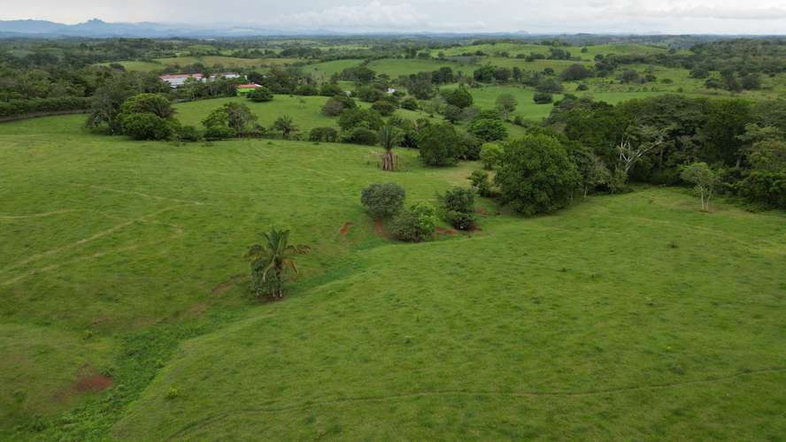 51 HECTÁREAS DE TERRENO $3,571,715 - Imagen 18