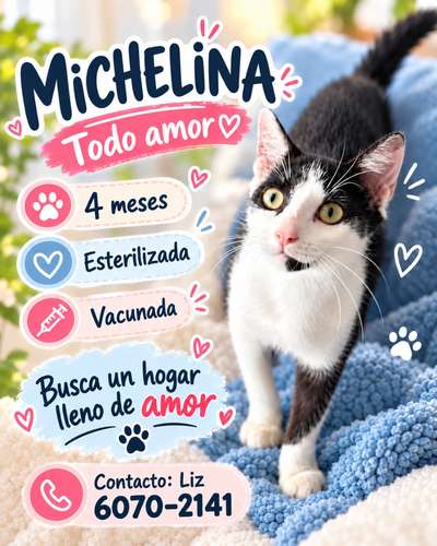 Michelina en Adopción  - Imagen 6