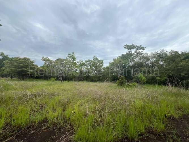 Venta de Terreno en Cocle DDB27-1339 - Imagen 5