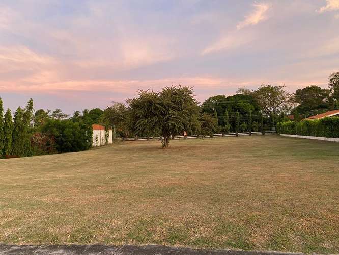 Punta Barco – Lote de 1,275mts2 – 180,000 - Imagen 5