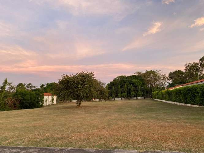 Punta Barco – Lote de 1,275mts2 – 180,000 - Imagen 6