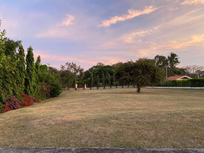 Punta Barco – Lote de 1,275mts2 – 180,000 - Imagen 9
