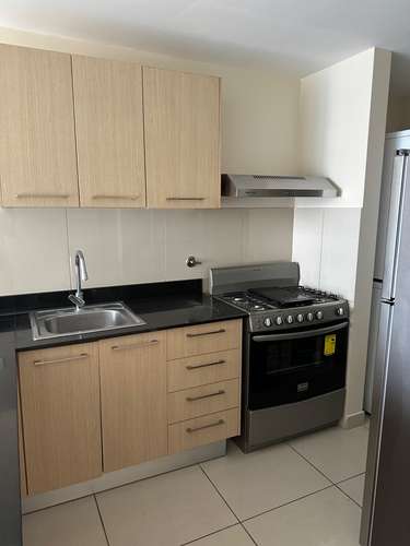 Espectáculo apartamento para alquiler en PH Torres De Castilla, Torre B, apartamento 24C, amoblado con 2 habitaciones  - Imagen 2