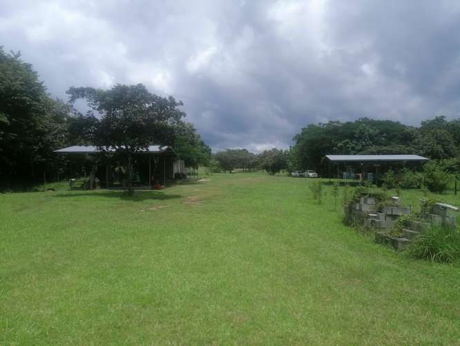VENTA DE TERRENO EN LAS LAJAS CHAME TITULADO CERCA MACHETAZO CORONADO 4 HECT  - Imagen 8
