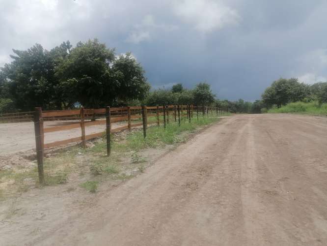 VENTA DE TERRENO EN LAS LAJAS CHAME TITULADO CERCA MACHETAZO CORONADO 4 HECT  - Imagen 14