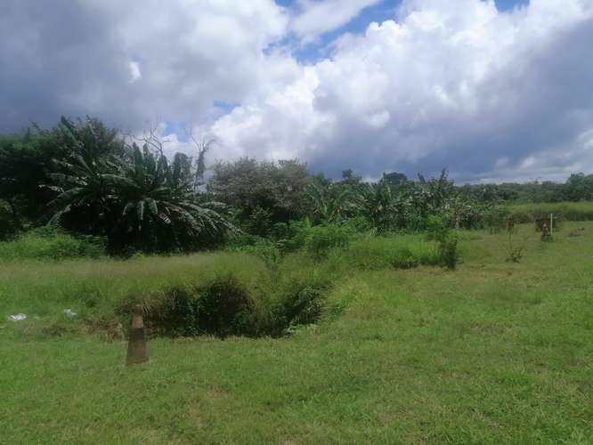 VENTA DE TERRENO EN LAS LAJAS CHAME TITULADO CERCA MACHETAZO CORONADO 4 HECT  - Imagen 9