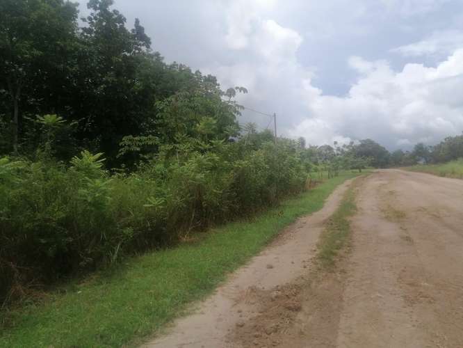 VENTA DE TERRENO EN LAS LAJAS CHAME TITULADO CERCA MACHETAZO CORONADO 4 HECT  - Imagen 15