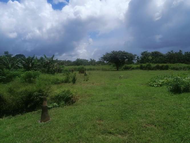 VENTA DE TERRENO EN LAS LAJAS CHAME TITULADO CERCA MACHETAZO CORONADO 4 HECT  - Imagen 6