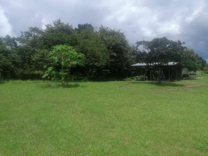 VENTA DE TERRENO EN LAS LAJAS CHAME TITULADO CERCA MACHETAZO CORONADO 4 HECT  - Imagen 11
