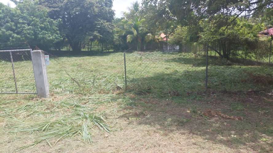 Coronado. Via Colonial. 801mts $60,000.00 - Imagen 2