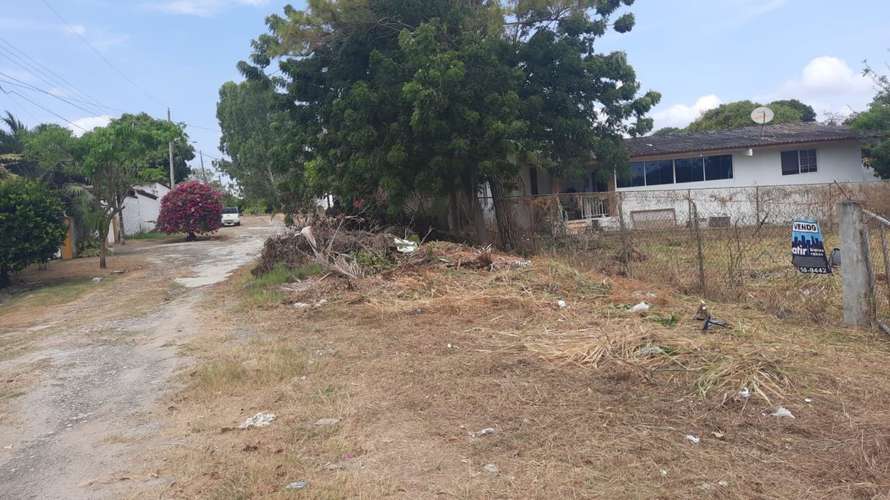 Coronado. Via Colonial. 801mts $60,000.00 - Imagen 4