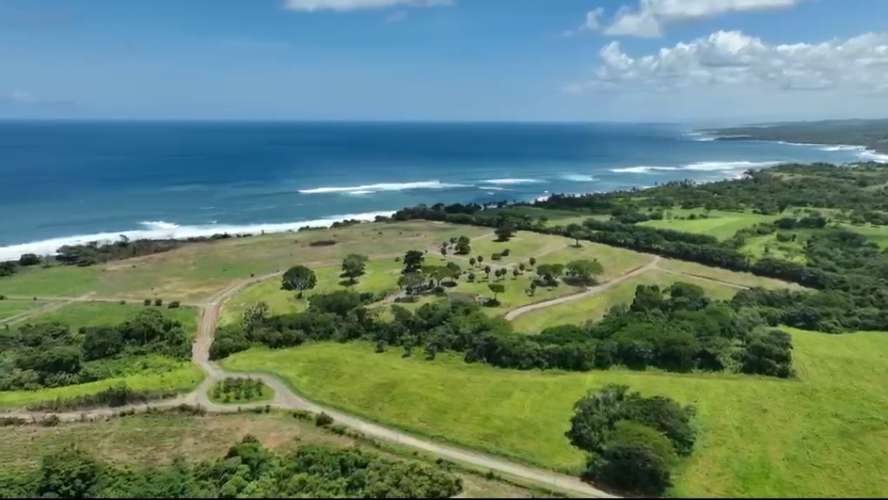     Se venden hectáreas frente al mar en Pedasí | Desde 1 hectárea | Venta directa por propietarios - Imagen 7