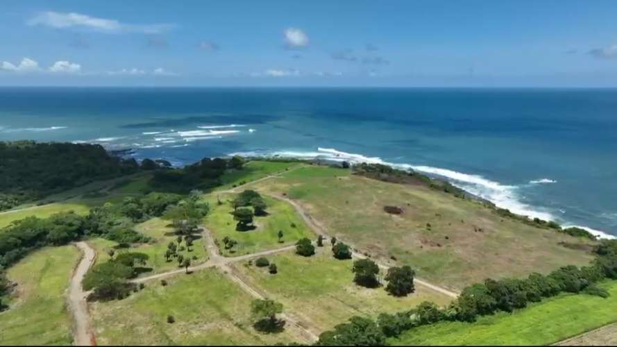     Se venden hectáreas frente al mar en Pedasí | Desde 1 hectárea | Venta directa por propietarios - Imagen 6