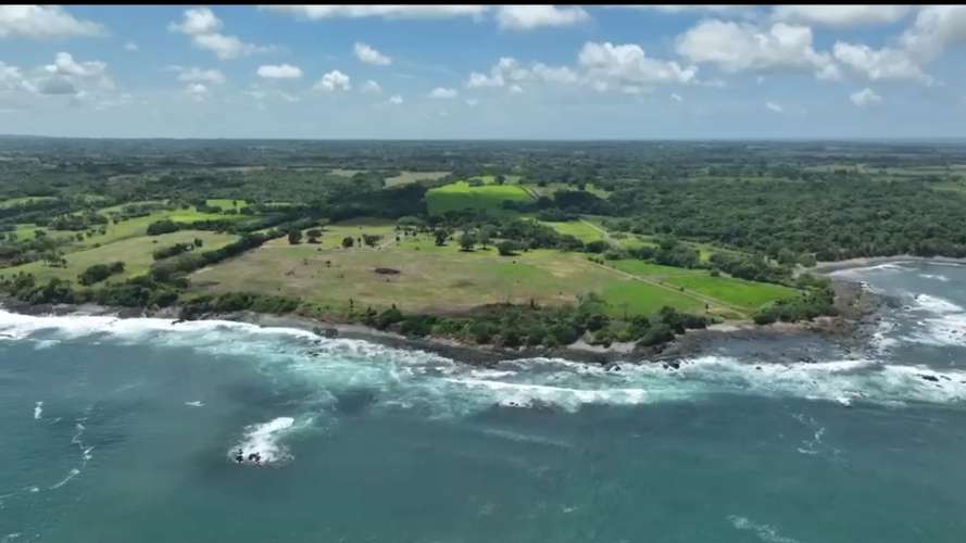     Se venden hectáreas frente al mar en Pedasí | Desde 1 hectárea | Venta directa por propietarios - Imagen 10