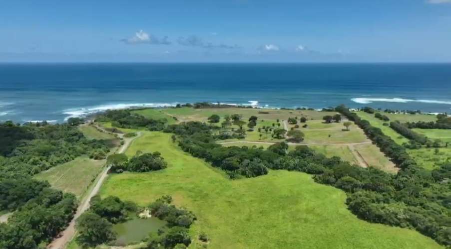     Se venden hectáreas frente al mar en Pedasí | Desde 1 hectárea | Venta directa por propietarios - Imagen 4