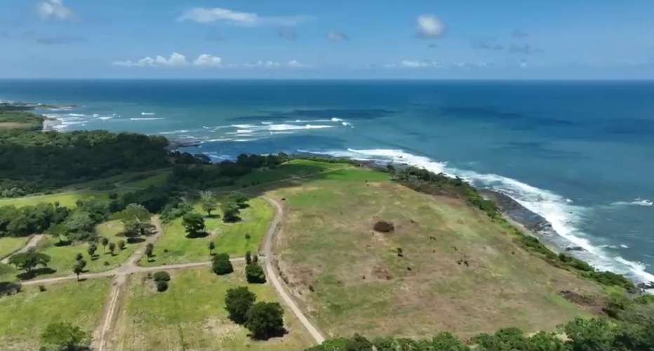     Se venden hectáreas frente al mar en Pedasí | Desde 1 hectárea | Venta directa por propietarios - Imagen 11