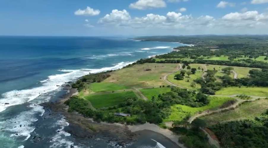     Se venden hectáreas frente al mar en Pedasí | Desde 1 hectárea | Venta directa por propietarios - Imagen 8