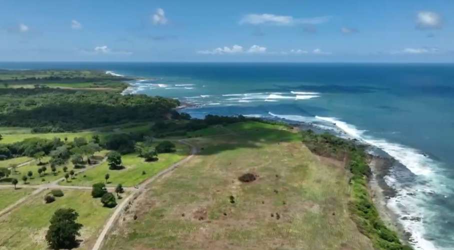     Se venden hectáreas frente al mar en Pedasí | Desde 1 hectárea | Venta directa por propietarios - Imagen 3