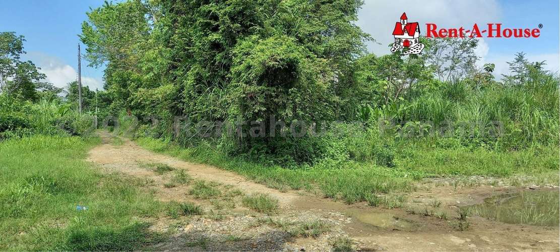 Venta de Terreno en Pacora – Terreno - Imagen 6