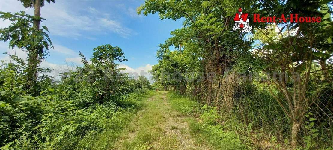 Venta de Terreno en Pacora – Terreno - Imagen 7