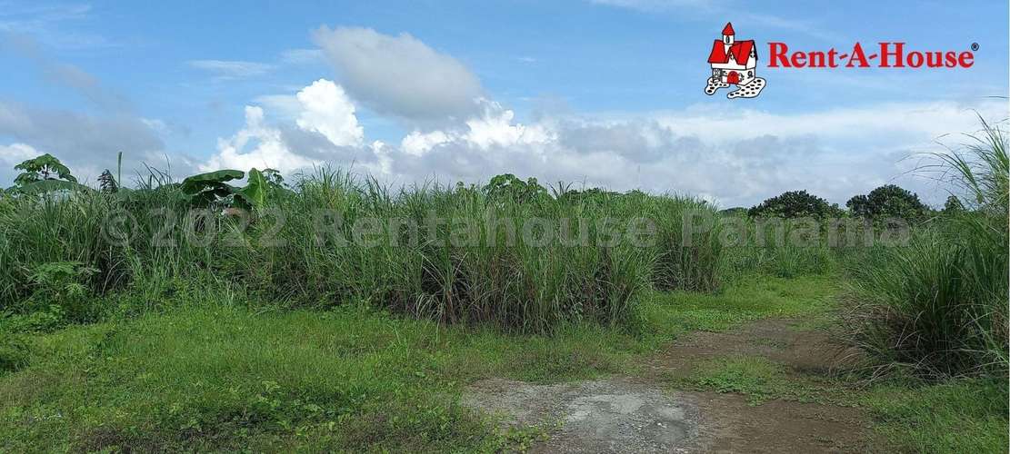 Venta de Terreno en Pacora – Terreno - Imagen 10