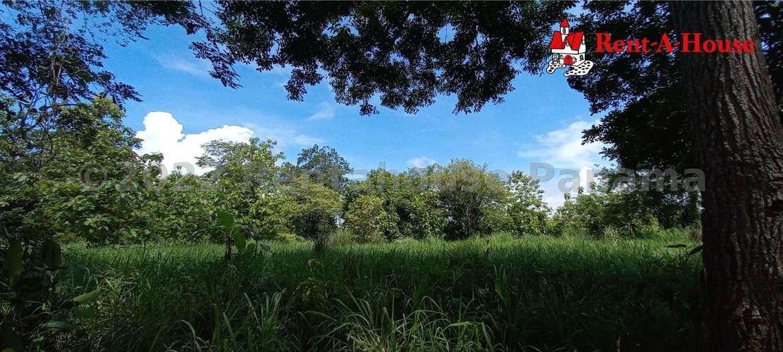 Venta de Terreno en Pacora – Terreno - Imagen 9