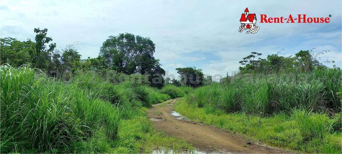 Venta de Terreno en Pacora – Terreno - Imagen 5