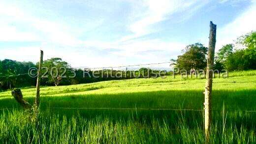Venta de Terreno en Chorrera – Finca La Chorrera - Imagen 20