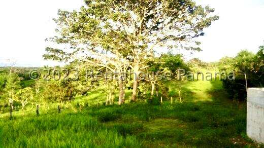 Venta de Terreno en Chorrera – Finca La Chorrera - Imagen 19