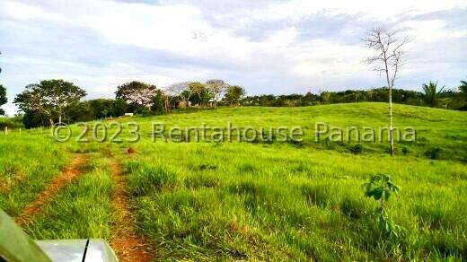 Venta de Terreno en Chorrera – Finca La Chorrera - Imagen 16