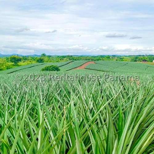 Venta de Terreno en Chorrera – Finca La Chorrera
