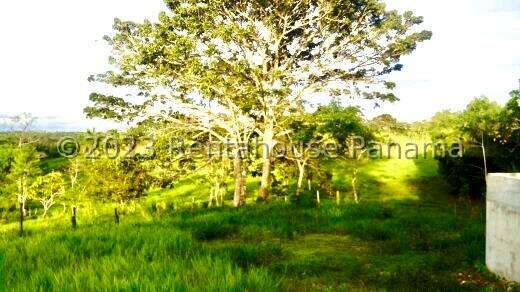 Venta de Terreno en Chorrera – Finca La Chorrera - Imagen 15
