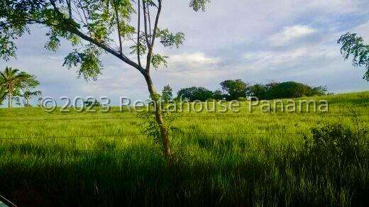 Venta de Terreno en Chorrera – Finca La Chorrera - Imagen 11