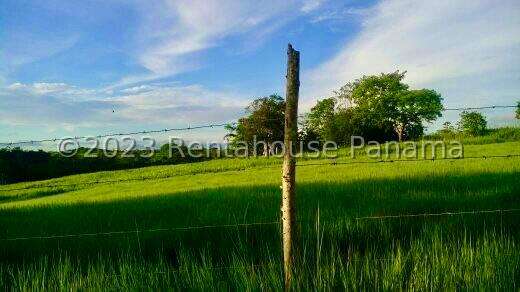 Venta de Terreno en Chorrera – Finca La Chorrera - Imagen 10