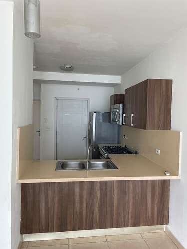 Alquilo En Ph Oasis On The Bay Punta Pacifica Clientes Directos M - Imagen 2
