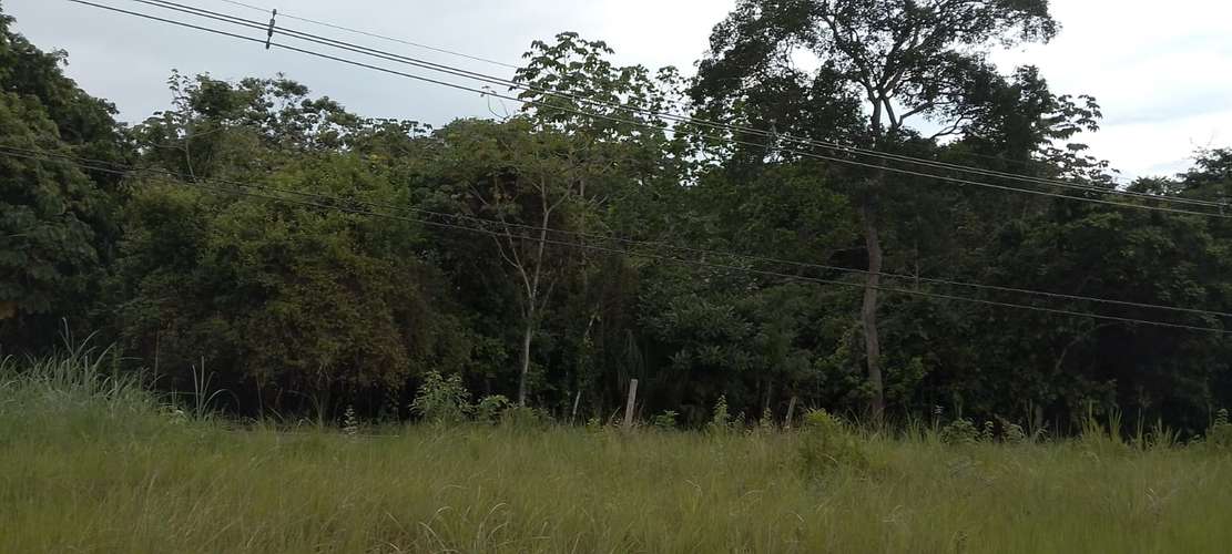 SE VENDE TERRENO 4,000MT2 VÍA RIO CONGO - Imagen 7
