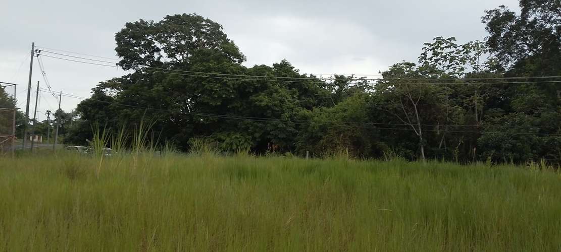SE VENDE TERRENO 4,000MT2 VÍA RIO CONGO - Imagen 10